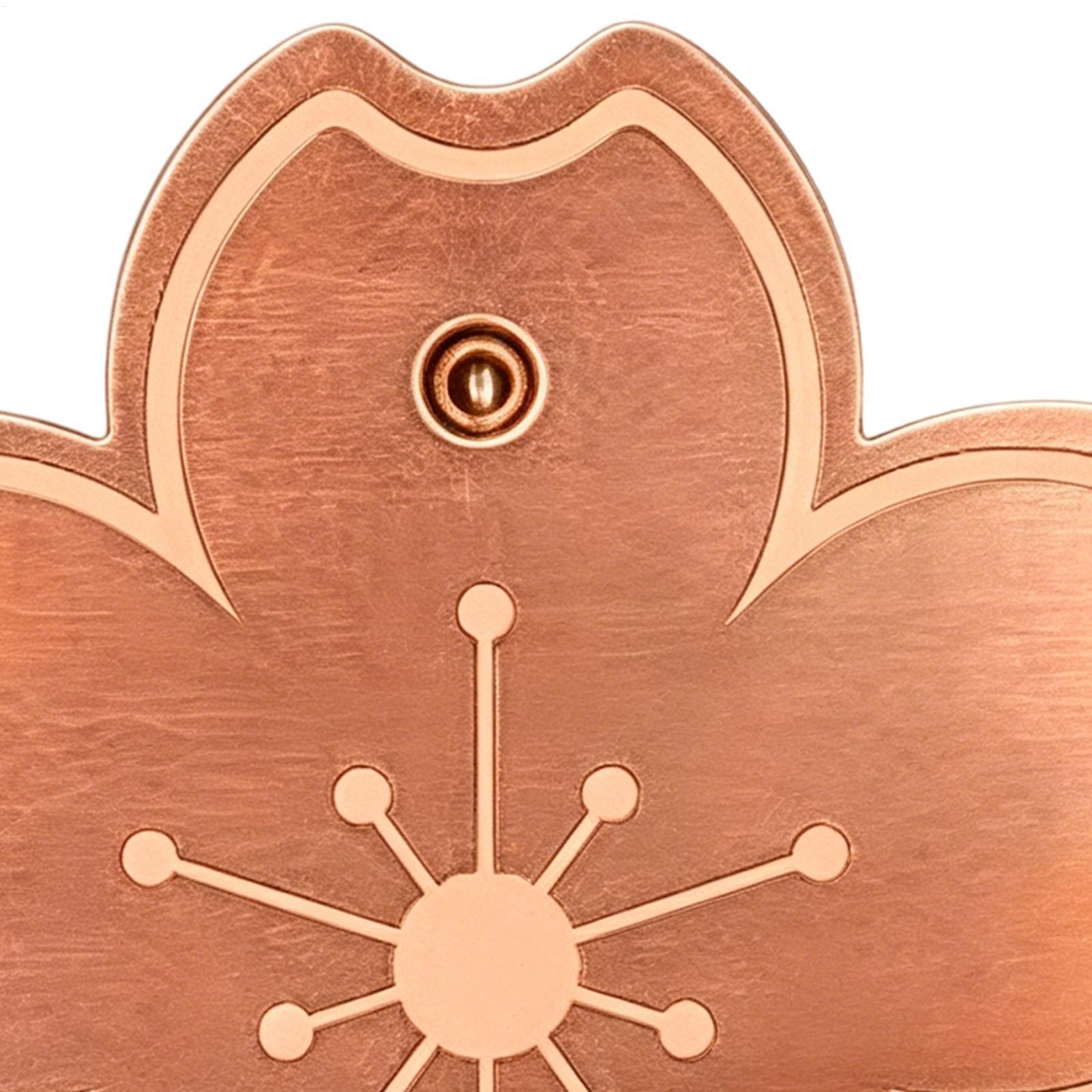 Plaque de purification en cuiv - Watches & Jewelry Repair Center Photos avis et prix